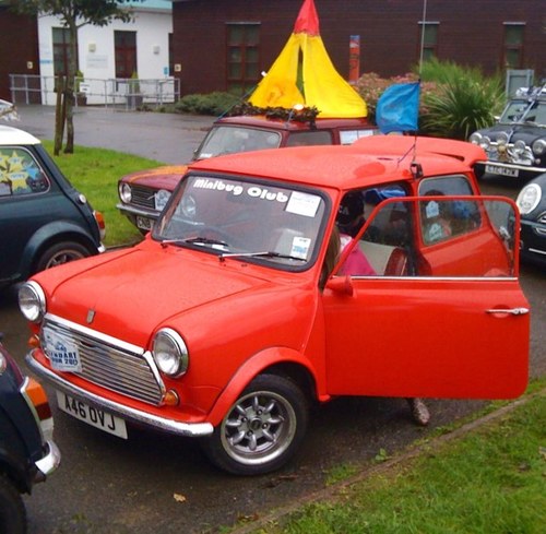 minibug2003's profile picture. 