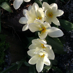 MMon27's profile picture. 