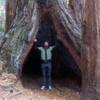 Michael Halpern (@halpsci) 's Twitter Profile