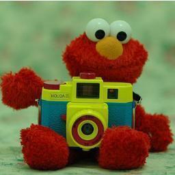 Hey im ELMO.Just an average 18 yr old teenager who tweets about his life. Retweet and Follow me to be a part of my social cycle.