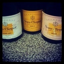 carol nicholson - @carolynn216 - Twitter