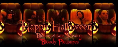 BlutBloodyMx's profile picture. Sean bienvenidos al mundo de los placeres sangrientos, fanclub dedicado a esta excelente banda alemana BLUTENGEL.