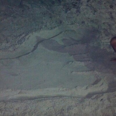 Profile Picture of J. Martin Del Hierro (@mdelhierro1) on Twitter