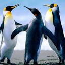 devin frank - @punchdrunkmanny - Twitter