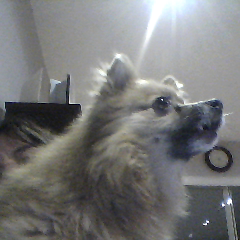 TipTopTia's profile picture. 