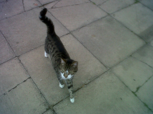 Duskyshazz's profile picture. Dude itz aa longg story!!!