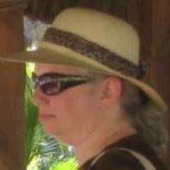 sgchesson's profile picture. 