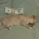 Mark Moser - @Mr_Grimm_Reaper - Twitter