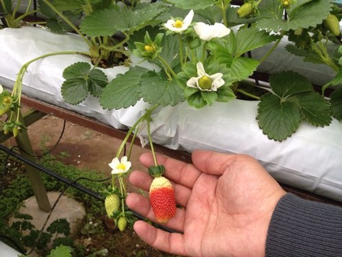 coollola1's profile picture. 