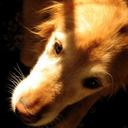 Ferris - @JonathanBlake - Twitter