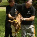 Paola Longo - @PaolaEdithLongo - Twitter