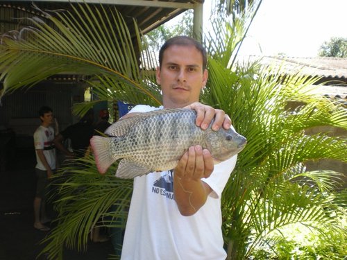 Tenho sono