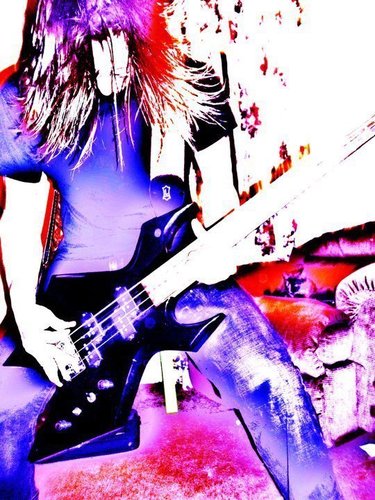 JACKSON,LTD,MORLEY,ELECTRO HARMONIX.