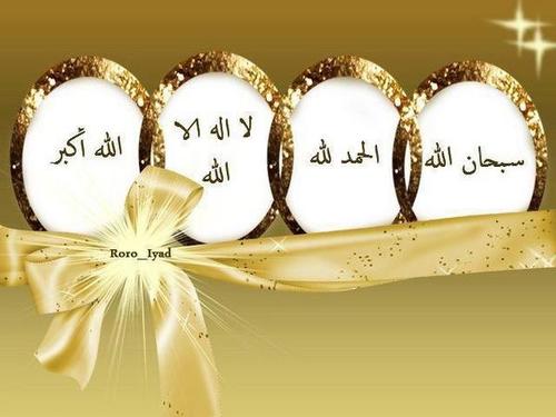 ‏جامعية