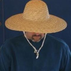 der_mims's profile picture. Destiny2 Dauerspieler