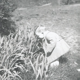 _lamajeff's profile picture. 