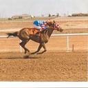 Doug Spain - @spaino62 - Twitter