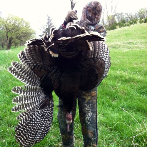 Owner, Bill Hamill. Full line of turkey diaphragm calls and grunt calls coming soon. Pro Staff team: @huntingprincess, @PinkArrowSlingr and @BluffsTaxidermy.