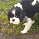 Leo Tierney - @leojamestierney - Twitter