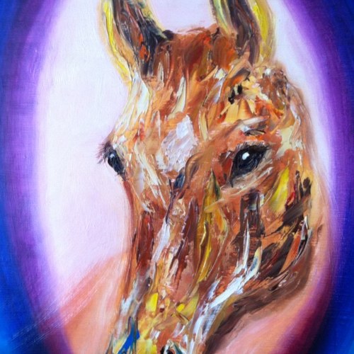 sharonpowermc's profile picture. Co founder of the Irish Horse Welfare Trust (IHWT). Views expressed here are my own personal views.