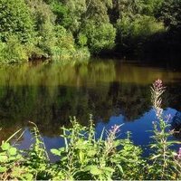 Teddington & HWick (@lovehamptonwick) 's Twitter Profile