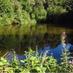 Teddington & HWick (@lovehamptonwick) Twitter profile photo Teddington & HWick (@lovehamptonwick) Twitter profile photo