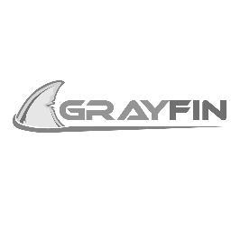 Static and Dynamic application security testing services