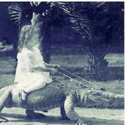 IsabelLozada's profile picture. Y si se mueren? ._.