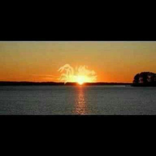 TookiedooSC's profile picture. 