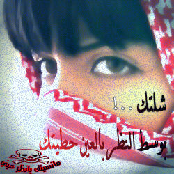 Qjz_511's profile picture. 