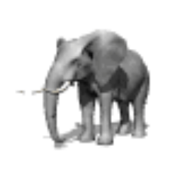 Cross between an Elephant and a Rhino?  Elephino. Pissing off the algorithm.  #MAGA. #1A and #2A are there to protect our rights and constitution. No DMs.