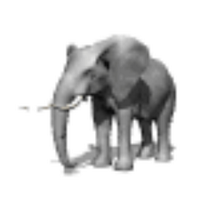 Elephino (@mriendea) 's Twitter Profile