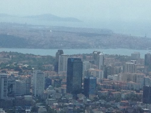 V2_v_merini's profile picture. Biography in construction