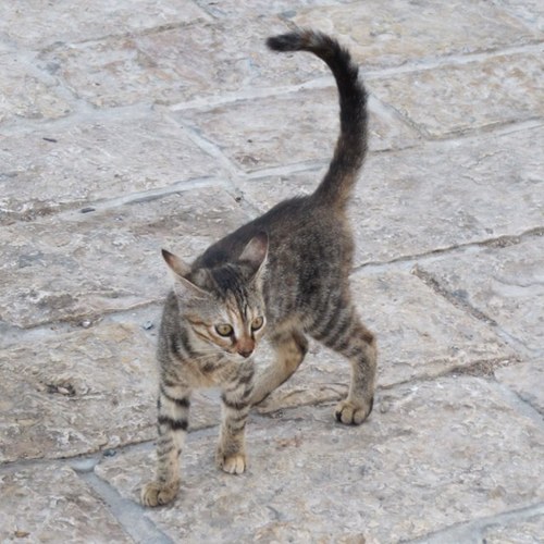 piuterk's profile picture. 