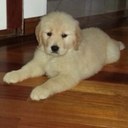 lupe marlen bernal - @lupita1557 - Twitter