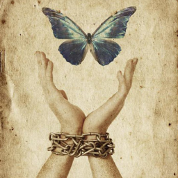 Self Harm Awareness, Research and Education provides support and information to self-harmers, friends and family of self-harmer's as well as professionals.