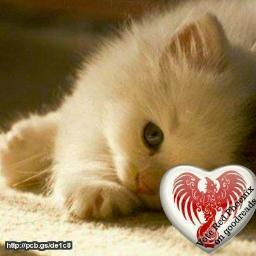 marla9123's profile picture. 