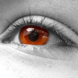 Yu_Bai_He's profile picture. Et vlan!