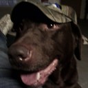 Patrick Howley - @pjhowley - Twitter