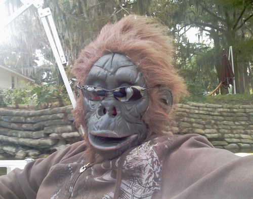 cannonmonkey's profile picture. Engineer originally from England now living in Florida. Interested in Formula 1, music, tech and woodworking @oldenglishshop