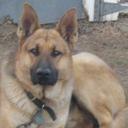 John Schmalz - @JohnSchmalz1 - Twitter