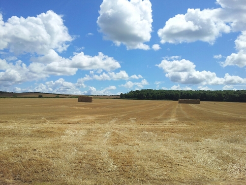 charli_b33's profile picture. Book worm, dreamer and historical nut with a tendency to procrastinate