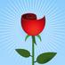 Silicon Florist 🌹 (@siliconflorist) Twitter profile photo Silicon Florist 🌹 (@siliconflorist) Twitter profile photo