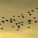 Chris Bromley - @chris24031998 - Twitter