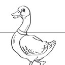 Gary Collins - @garycol77 - Twitter