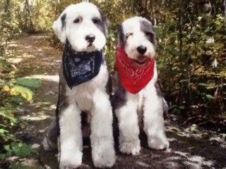 YYCMrMuggs's profile picture. 