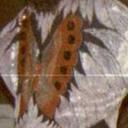 Denise Alston-Player - @Evyansaunt - Twitter