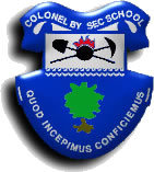 cbsolutions613's profile picture. 