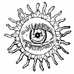 MediaObelia's profile picture. Giant mystery ape.