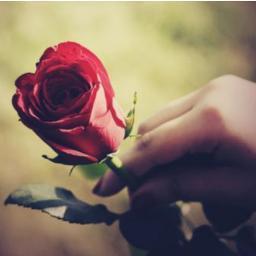 ~ صَائِمَة مُنْذ أَن تَسَحَّرْت غِيَابَك ..